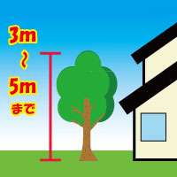 高さ3~5メートルまで