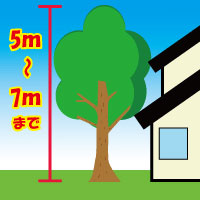 高さ5～7メートルまで