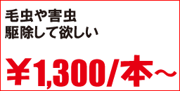 毛虫の駆除をして欲しい