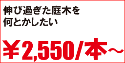 伸び過ぎた庭木を何とかしたい